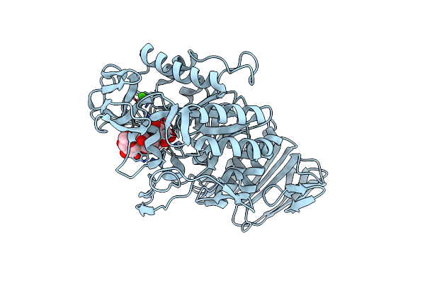 1PPI image