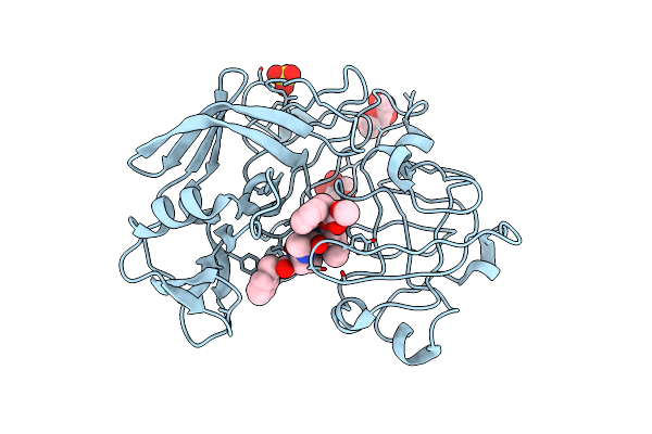 1PPM image