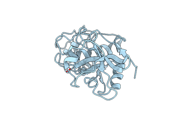 1PPO image