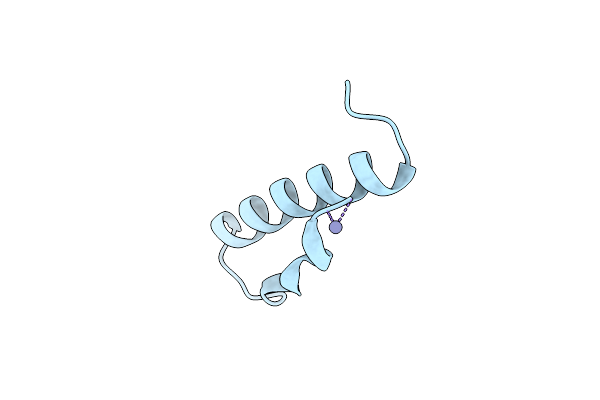 1PPT image