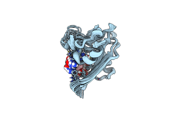 1PPX image