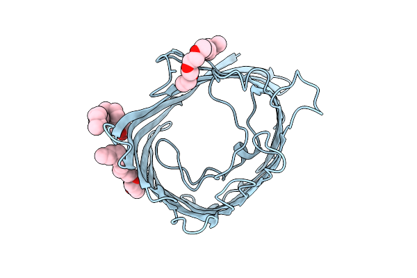 1PRN image