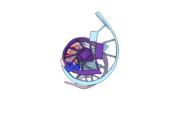 1PRP image