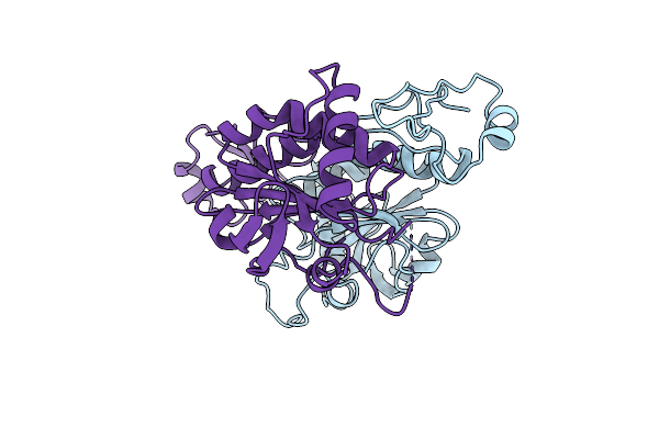 1PRX image