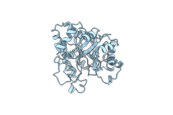 1PTA image