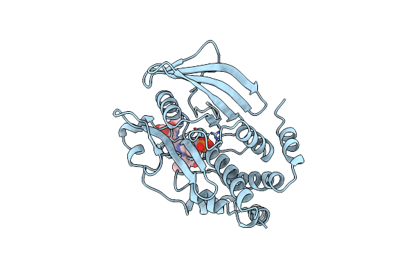 1PTT image