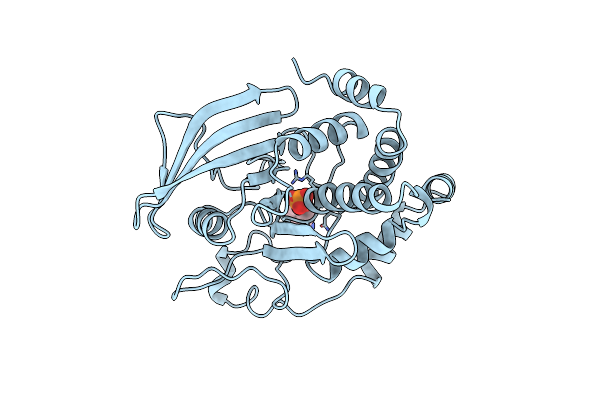 1PTV image