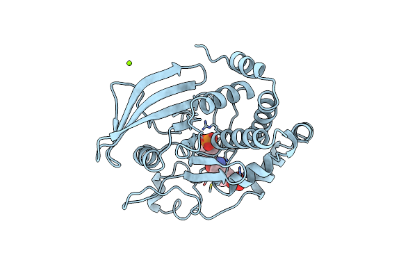1PTY image