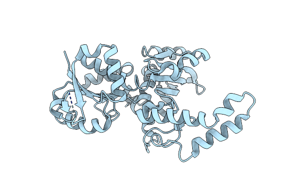 1PU2 image