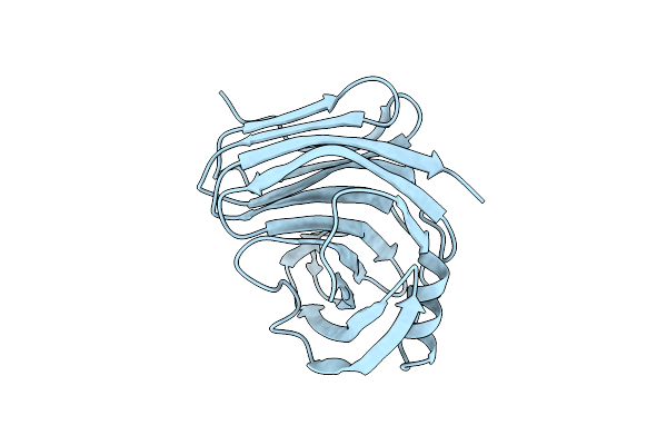 1PVX image