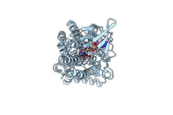 1PXB image