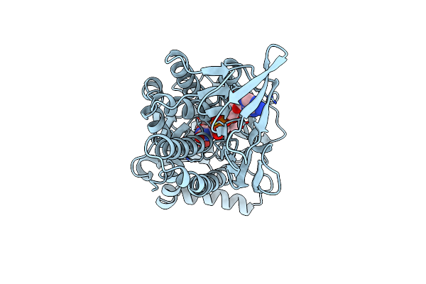 1PXC image