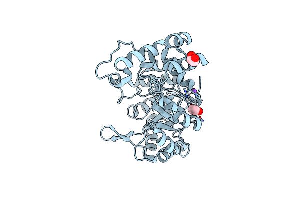 1PYF image