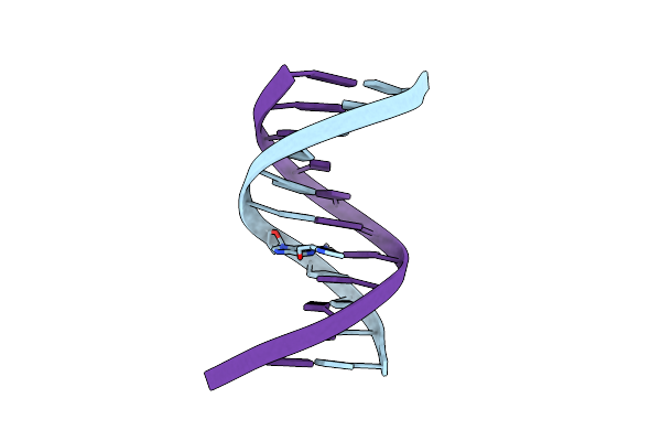 1PYJ image