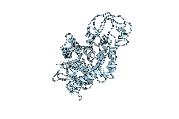 1PYK image