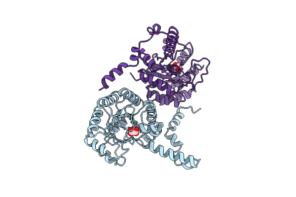 1PYM image