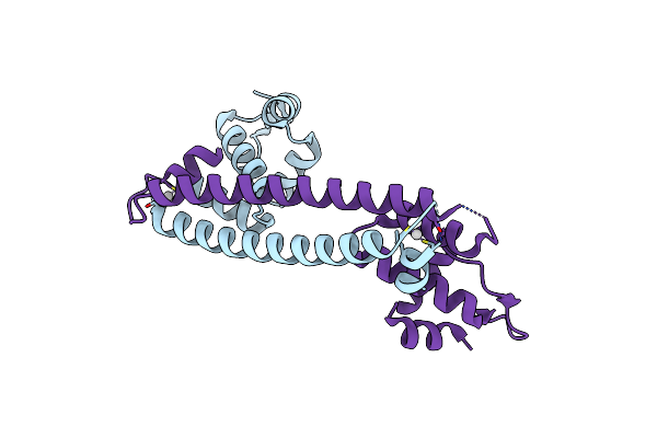 1Q06 image