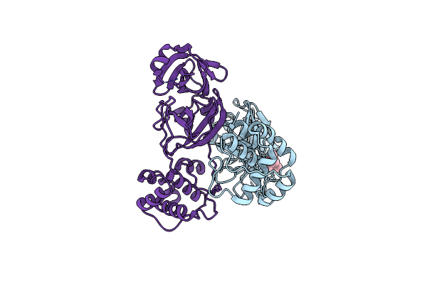 1Q2W image