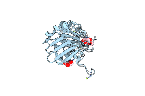 1Q3C image
