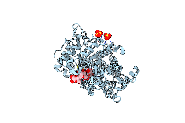 1Q6D image