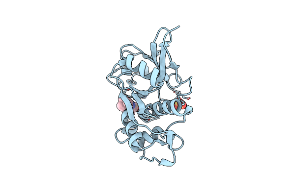 1Q6K image