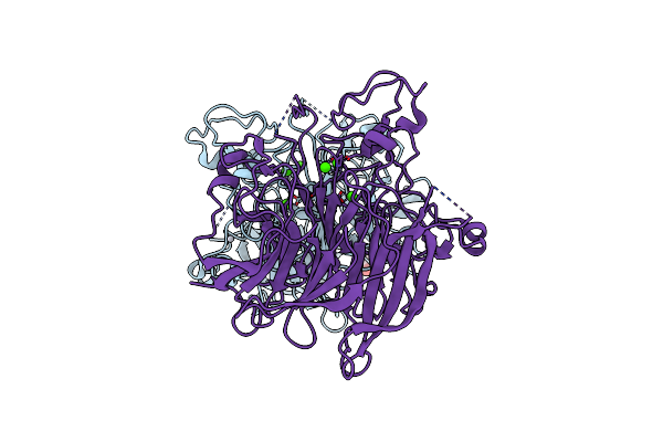 1QBI image
