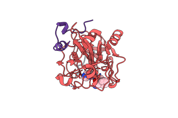 1QBV image