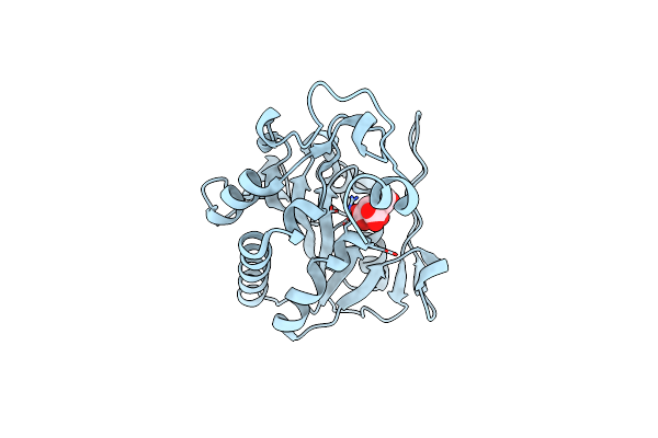 1QCC image