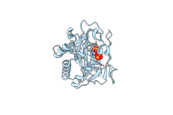 1QCD image