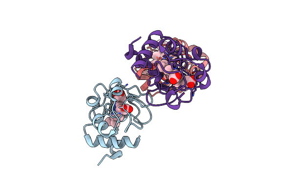 1QN2 image