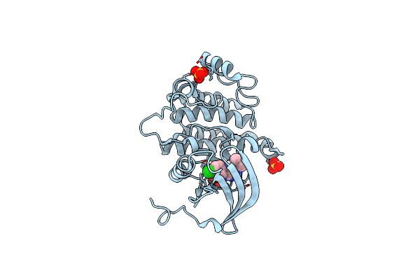 1QPE image