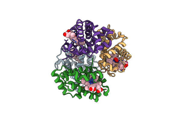 1QPW image