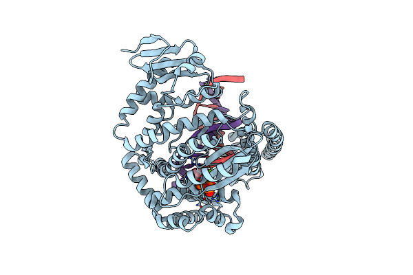 1QSS image