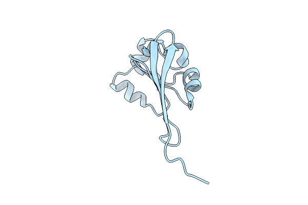 1QW2 image
