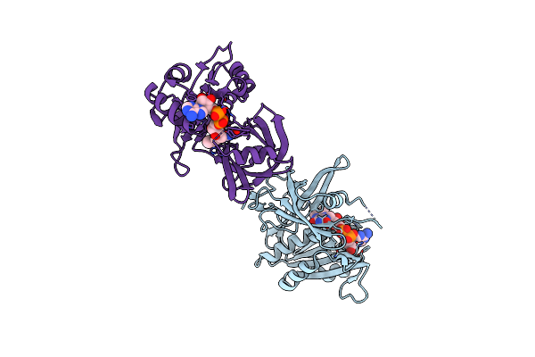1QX4 image