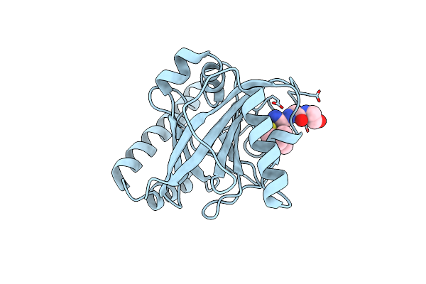 1QXA image