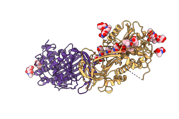 1R1L image