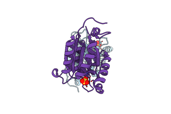 1R2K image