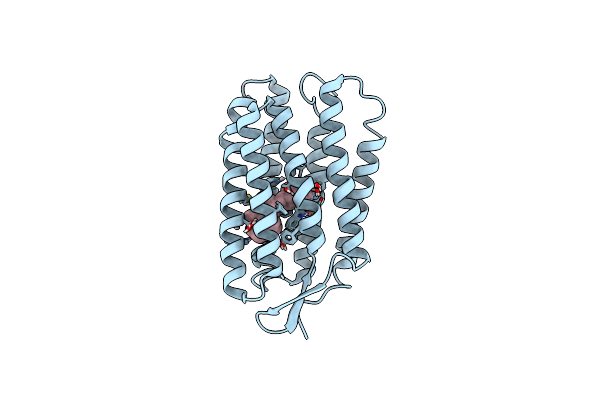 1R2N image