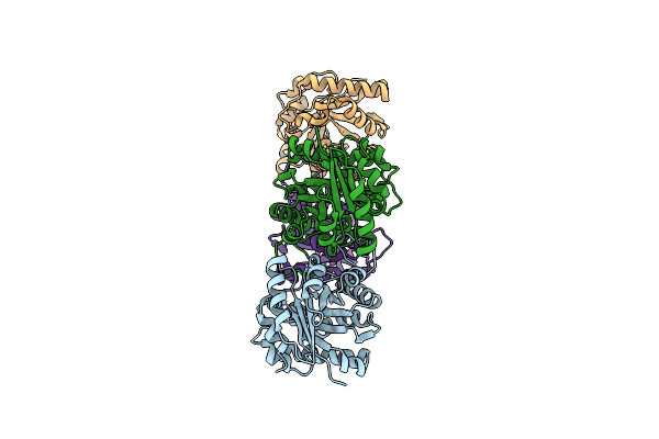 1R2S image