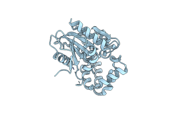1R3D image