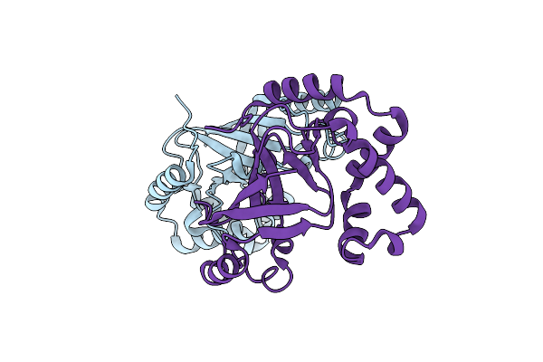 1R4B image