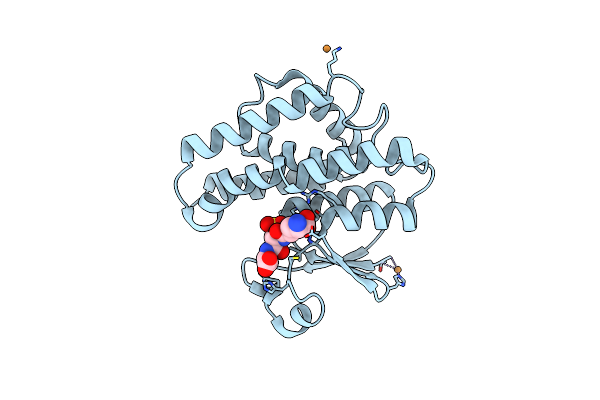 1R5A image