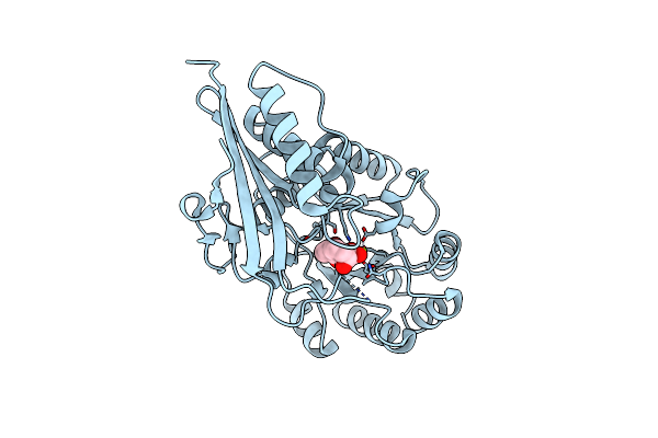 1R6W image