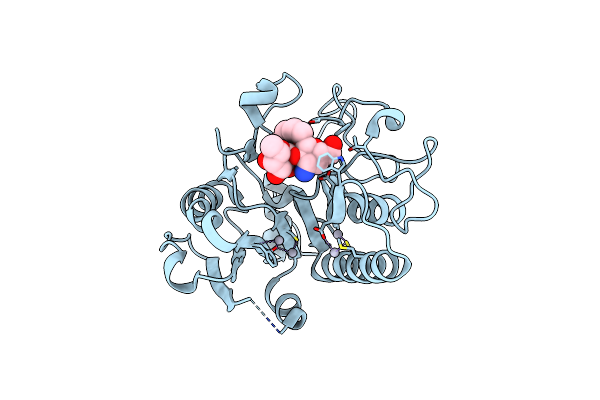 1R7X image