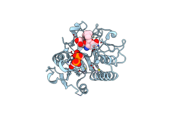 1R81 image