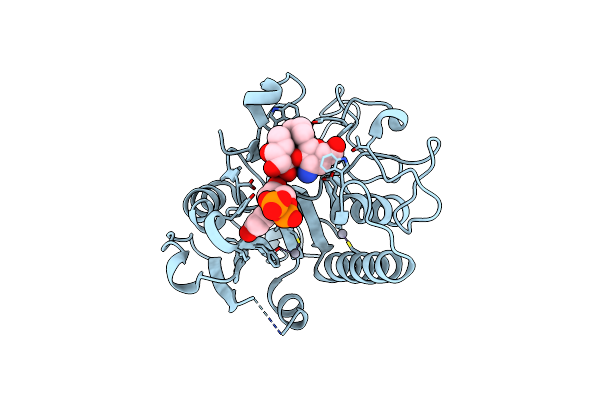 1R82 image