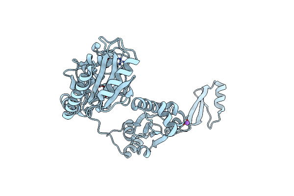 1R8A image