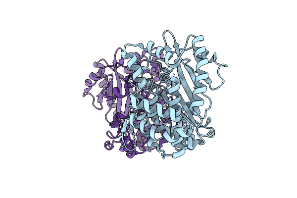 1R8G image