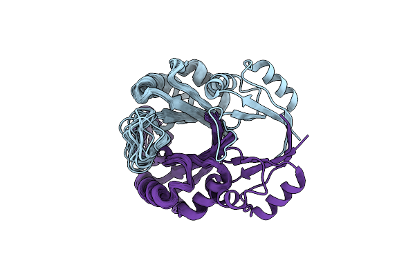 1R8P image